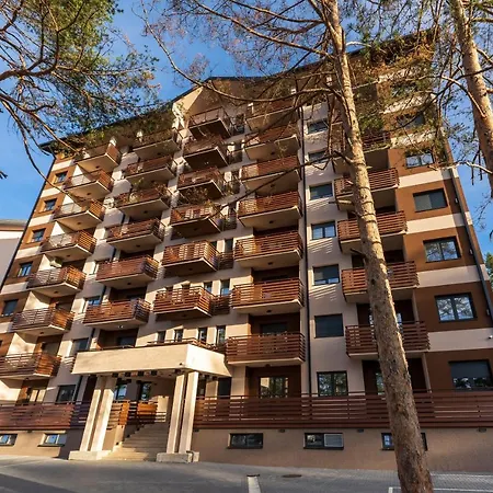 Apartment Pekovic Green, Pine Trees View 2 Bedrooms Zlatibor
